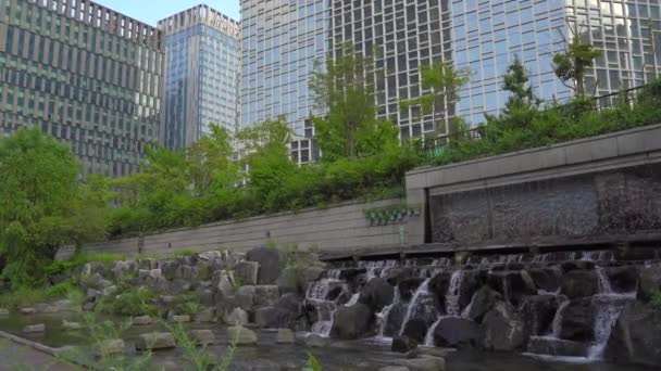 Cheonggyecheon córrego em Seul, Coreia do Sul é o resultado de um projeto de renovação urbana maciça — Vídeo de Stock