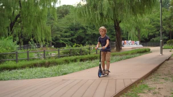 Kleine jongen rijdt op een kick scooter in een park. Langzame schot — Stockvideo