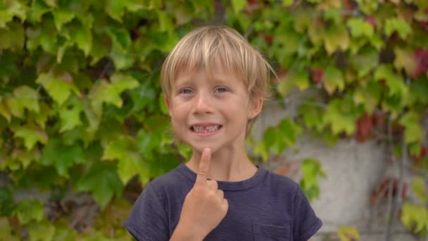 Ein kleiner Junge zeigt seinen Milchzahn, der zum Abfallen bereit ist. Zeitlupenschuss — Stockvideo