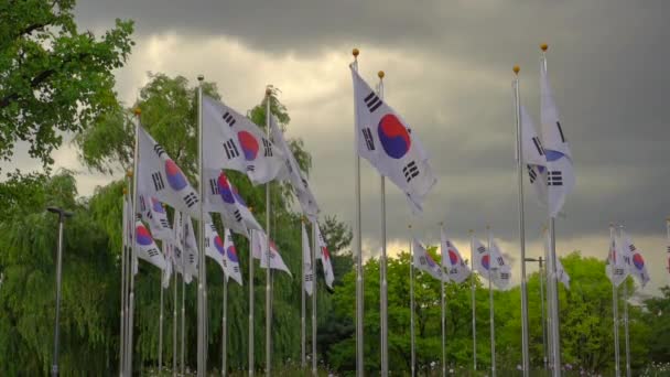 Veel Zuid-Koreaanse vlaggen wapperen op een wind — Stockvideo