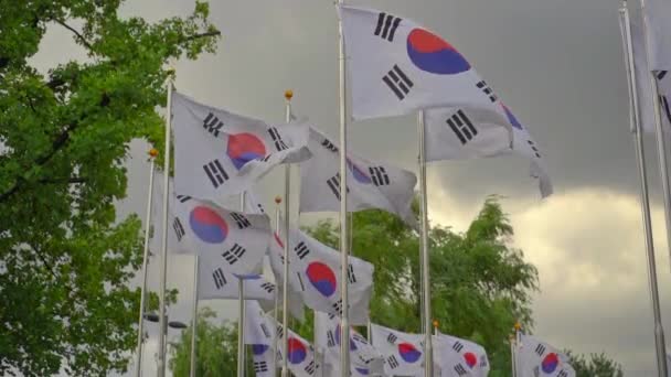 Massor av sydkoreanska flaggor viftar på en vind — Stockvideo