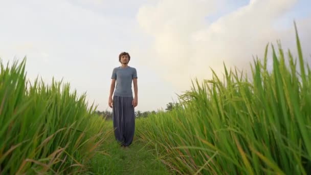 Um jovem tem um treinamento de ioga em um belo campo de arroz. Viagem para a Ásia conceito — Vídeo de Stock