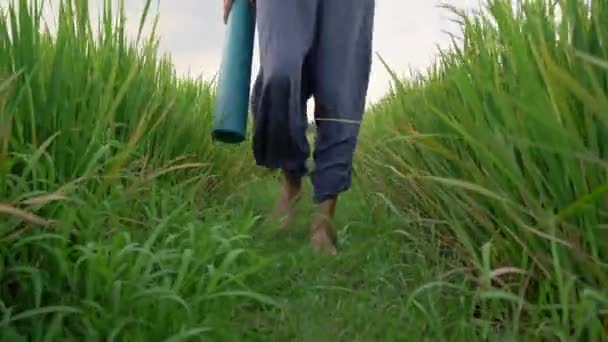 Un joven tiene un entrenamiento de yoga en un hermoso campo de arroz. Viajes a Asia concepto — Vídeos de Stock