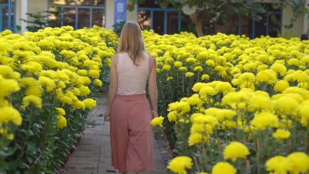 한 젊은 여성 이 동양인들 이 월삭을 축하하기 위해 자라는 수많은 노란 꽃들 사이를 걷고 있습니다. 아시아 여행의 개념 — 비디오