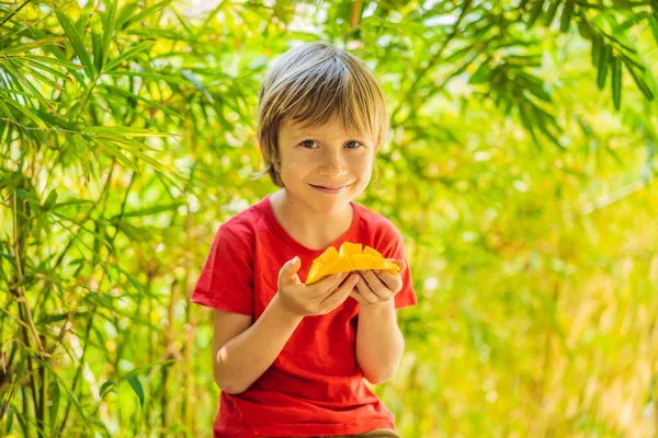 Pequeño chico lindo comiendo mango en la terraza — Foto de Stock