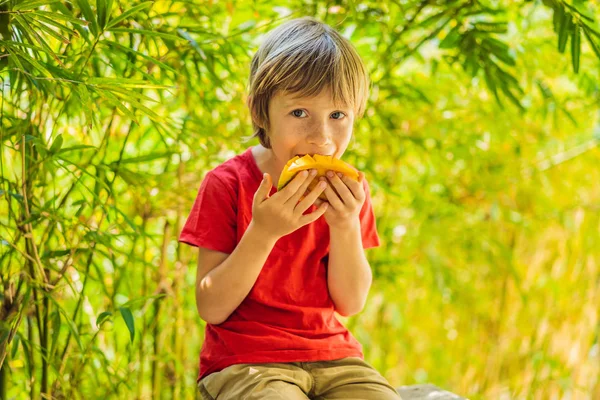 Pequeño chico lindo comiendo mango en la terraza — Foto de Stock