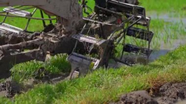 Güneydoğu Asya 'daki çiftçiler el traktörü kullanarak pirinç tarlası sürüyorlar. Asya 'ya seyahat. Yavaş çekim videosu