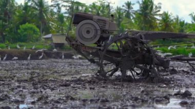 Güneydoğu Asya 'daki çiftçiler el traktörü kullanarak pirinç tarlası sürüyorlar. Asya 'ya seyahat. Yavaş çekim videosu