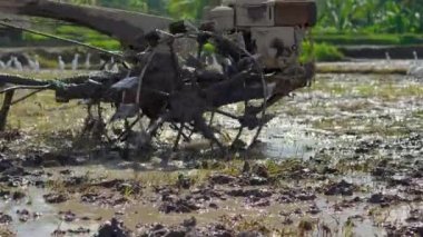 Güneydoğu Asya 'daki çiftçiler el traktörü kullanarak pirinç tarlası sürüyorlar. Asya 'ya Seyahat