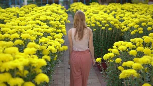 Una joven que camina entre muchas flores amarillas que los asiáticos del este cultivan para celebrar un año nuevo lunar. Viajar a Asia concepto. Vídeo en cámara lenta — Vídeo de stock