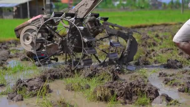 Los agricultores del sudeste asiático aran un campo de arroz con un tractor de mano. Viajar a Asia concepto. vídeo en cámara lenta — Vídeo de stock