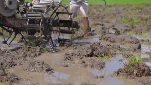 Agricultores do Sudeste Asiático lavram um campo de arroz usando um trator manual. Viajar para a Ásia conceito. slow motion vídeo — Vídeo de Stock