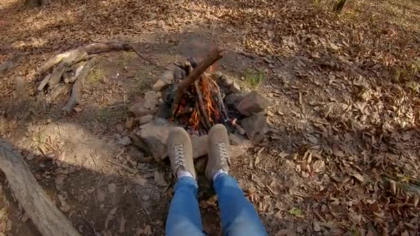 Punkt widzenia strzał człowieka siedzącego przy ognisku w jesiennym lesie — Wideo stockowe