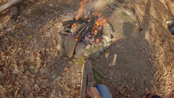 Από την οπτική γωνία ενός άνδρα που κάθεται δίπλα σε μια φωτιά σε ένα φθινοπωρινό δάσος. Σφηνάκι αργής κίνησης — Αρχείο Βίντεο