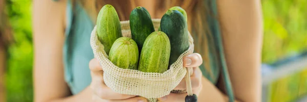 Komkommers in een herbruikbare zak in de handen van een jonge vrouw. Geen afval concept Banner, Long Format — Stockfoto