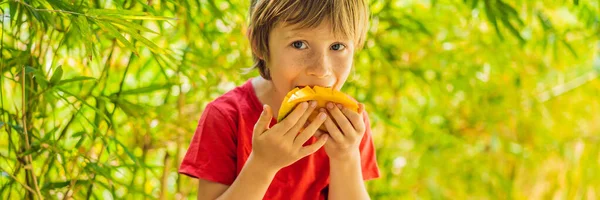 Niño lindo comiendo mango en la terraza BANNER, FORMATO LARGO — Foto de Stock