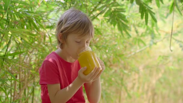 Mały chłopiec w czerwonej koszuli pije koktajl z mango. — Wideo stockowe