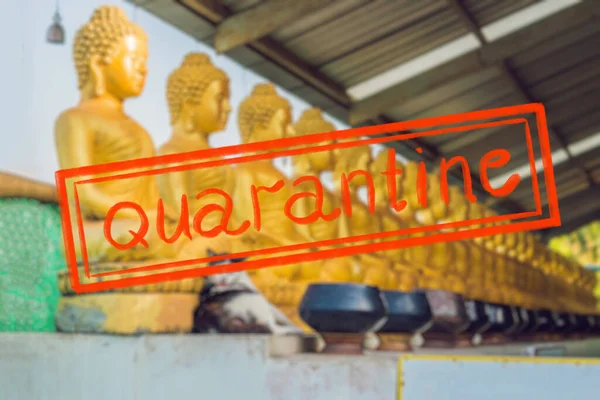 Cuarentena por epidemia de coronavirus covid19 El gato se sienta sobre el fondo de estatuas de Buda, Cara de buda dorada, Tailandia, Asia —  Fotos de Stock