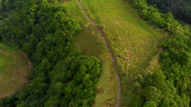 Scatto aereo della passeggiata degli artisti Campuhan Ridge Walk nel villaggio di Ubud sull'isola di Bali. Passerella in cima alla collina con due burroni in cui scorre il fiume . — Video Stock