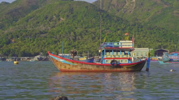 Massor av stora fiskebåtar i hamnen i Asien. Överfiskning — Stockvideo