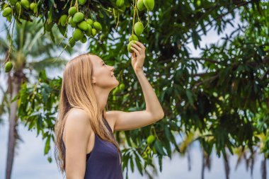 Bahçedeki ağaçta mango meyvesi koklayan genç bir kadın. Hasat. Doğaya yakın.