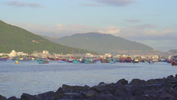 Spousta velkých rybářských lodí v přístavu v Asii. Koncept nadměrného odlovu — Stock video