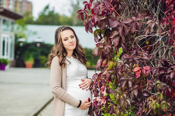 Беременная молодая женщина, стоящая у красной осенней изгороди, держащая живот. беременная женщина отдыхает в парке . — стоковое фото