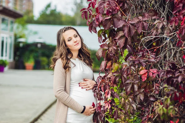 Μια έγκυος νεαρή γυναίκα στέκεται στον κόκκινο φθινοπωρινό φράχτη, κρατώντας την κοιλιά. έγκυος γυναίκα χαλαρώνοντας στο πάρκο. — Φωτογραφία Αρχείου