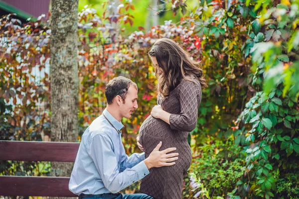 Egy terhes fiatal nő és a férje. Egy boldog család áll a vörös őszi sövénynél, a jövő apja hallgatja ezt a hasában. terhes nő pihenés a parkban. — Stock Fotó
