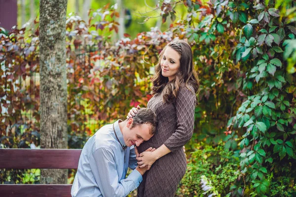 Egy terhes fiatal nő és a férje. Egy boldog család áll a vörös őszi sövénynél, a jövő apja hallgatja ezt a hasában. terhes nő pihenés a parkban. — Stock Fotó
