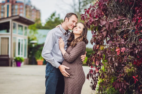 En gravid ung kvinne og mannen hennes. En lykkelig familie som står ved den røde høsthekken og holder i magen. gravid kvinne som slapper av i parken . – stockfoto