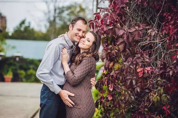 En gravid ung kvinne og mannen hennes. En lykkelig familie som står ved den røde høsthekken og holder i magen. gravid kvinne som slapper av i parken . – stockfoto