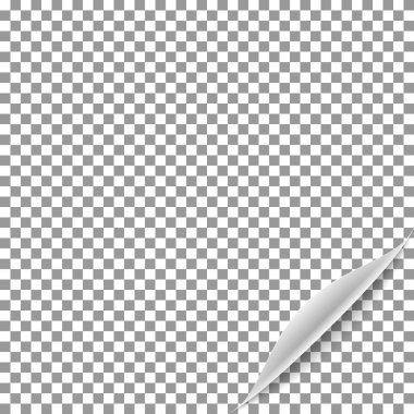 Beyaz degrade şeffaf arka plan üzerinde izole gölge ile kağıt curl yuvarlanır. Dergi sayfası açın. Vektör şablon çizimi.