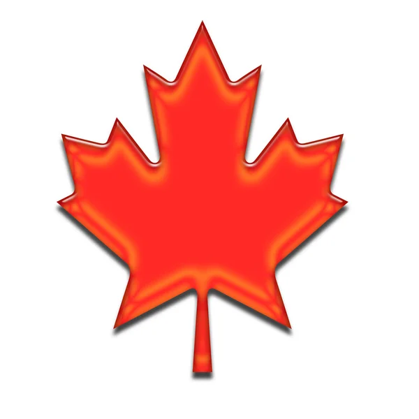 Orange maple leaf — Stock Photo, Image