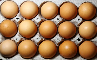 kahverengi yumurta bir yumurta kartonu