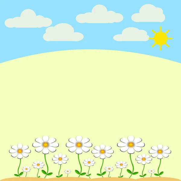 Marguerites blanches avec ciel et soleil — Image vectorielle