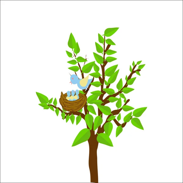 Летнее дерево — стоковый вектор