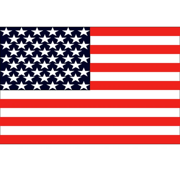 Ilustración del vector de bandera americana — Archivo Imágenes Vectoriales