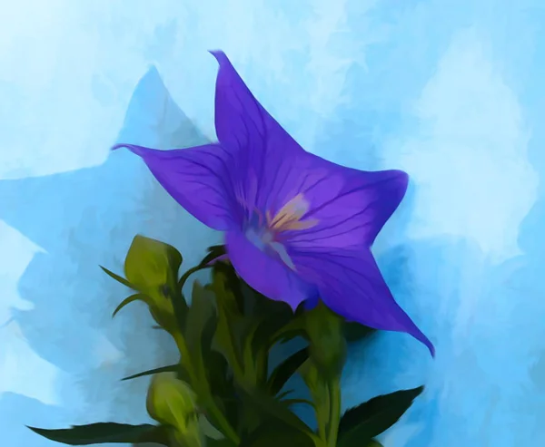 Balonowy kwiat na niebieskim tle drewnianych — Zdjęcie stockowe