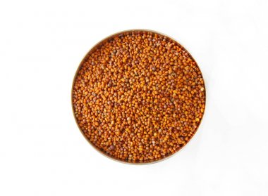 Hardal tohumu yakın çekim