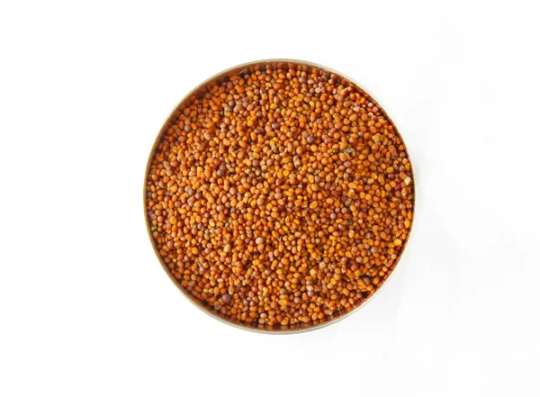 Hardal tohumu yakın çekim