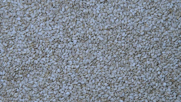 Семена белого кунжута — стоковое фото