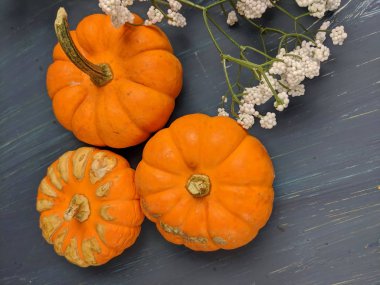 Kabakların yukarıdan görünüşü hala hayat dolu