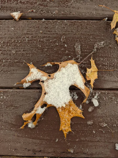 Eichenblatt auf einem Holzdeck mit Schnee — Stockfoto