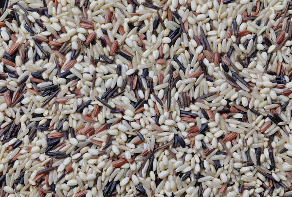 요리하지 않은 야생 쌀 과검은 쌀, 갈색을 섞은 것을 클로즈업하는 모습 — 스톡 사진