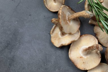 Gri arkaplandaki Shiitake mantarlarının genel görünümü