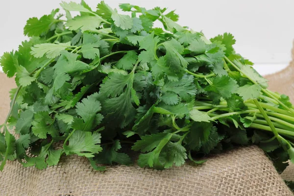 Un mazzo di foglie di Cilantro verde fresco . — Foto Stock