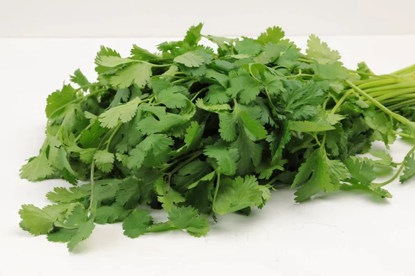 Um monte de folhas verdes frescas Cilantro . — Fotografia de Stock