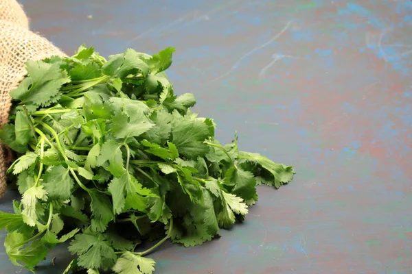 A bunch of fresh green Cilantro leaves. — Stock Photo, Image