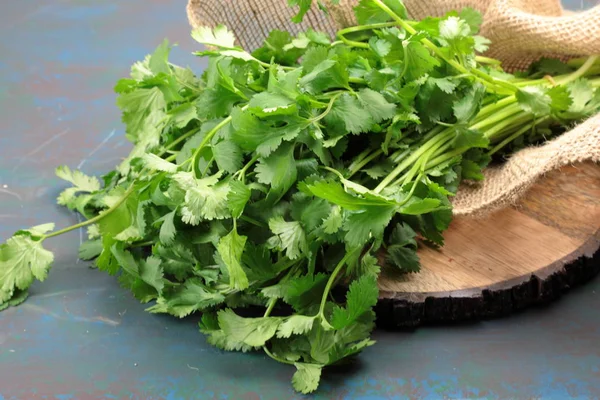 Um monte de folhas verdes frescas Cilantro . — Fotografia de Stock